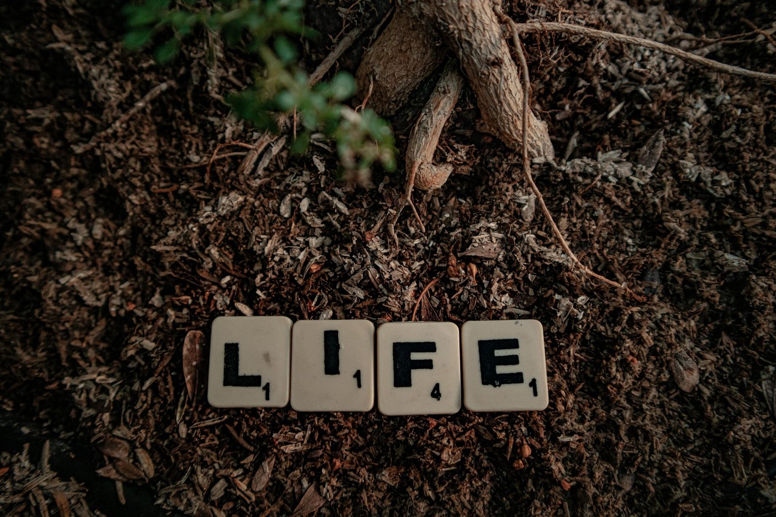 Life Insurance: An Assurance of Comfort and Security